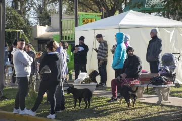 Se realizaron casi 100 esterilizaciones en la última jornada de castración en Timbúes