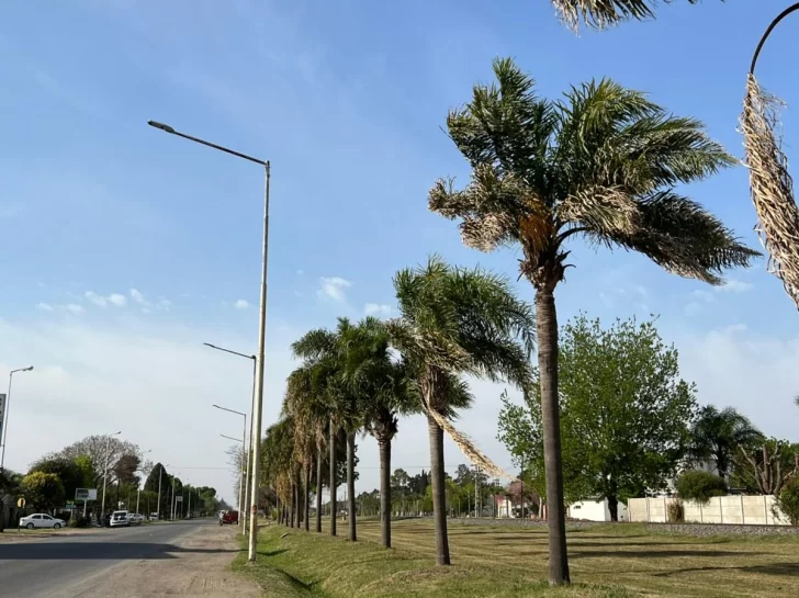 Fuertes vientos hicieron bajar la temperatura en la región y hay presencia de humo