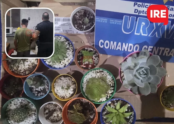 Un joven robó 14 cactus de un negocio y fue detenido por la policía