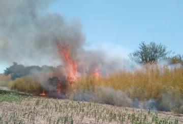Un importante incendio se desató en la zona norte de Timbúes