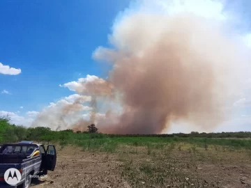 Tras un día de intenso trabajo de 25 bomberos aún no lograron sofocar el incendio forestal en Puerto Aragón