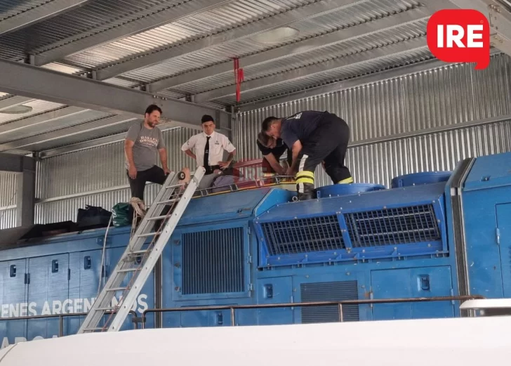 Un operario de Trenes tuvo un fuerte golpe en la cabeza en la central de La Ribera