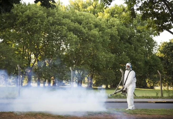 Monje realizará fumigaciones para mitigar la presencia de mosquitos y prevenir Dengue