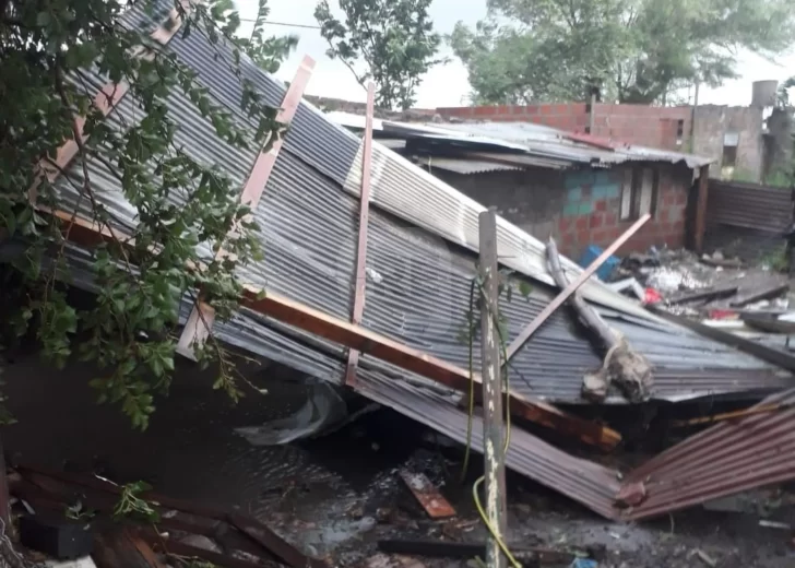 Fuerte temporal en la región: Árboles caídos, calles anegadas y voladura de techos